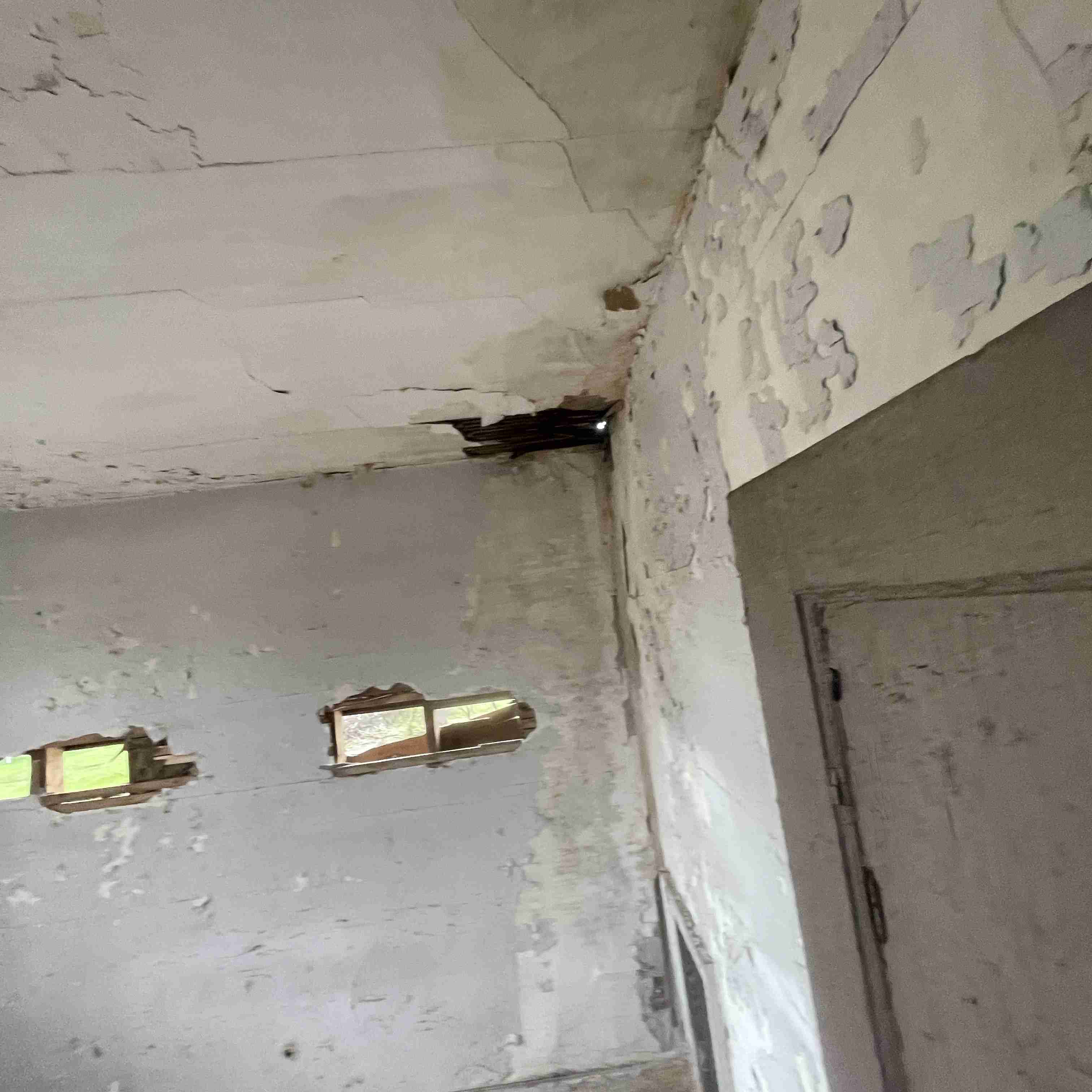 4039 Tuxedo (47).jpg